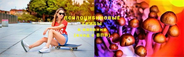 таблы Пересвет