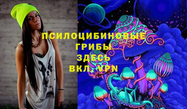 спиды Переславль-Залесский
